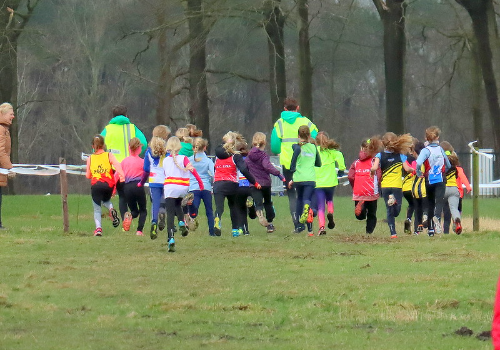 De foto's van onze veldloop zijn beschikbaar