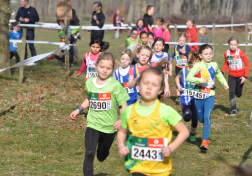 20e veldloop der Noorderkempen werd een zonnig succes