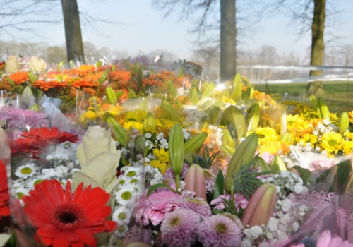 De foto's van de 19e Veldloop der Noorderkempen staan online