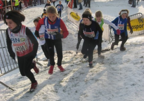 De cross te Maldegem